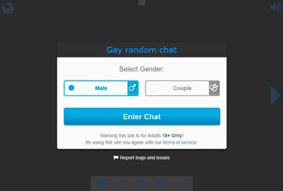 gay roulette|Gay Random Chat